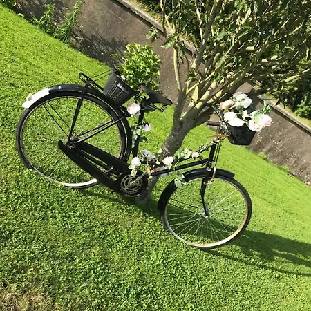 Laithreach Briuin W23e0h9 Maynooth