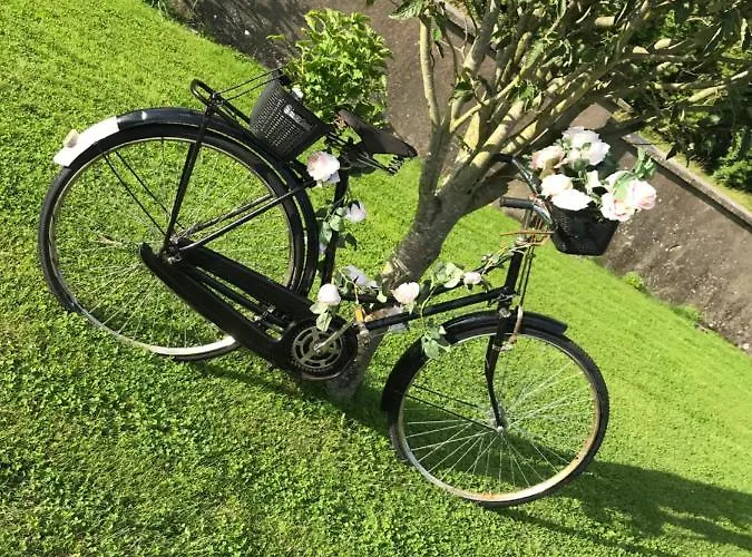 Laithreach Briuin W23e0h9 Maynooth